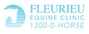 Fleurieu Equine Clinic Pic 3