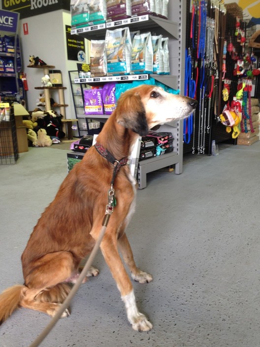 Priority Pets in Dandenong, Melbourne, VIC, Pet Shops TrueLocal