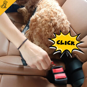 Petbelts Dog Seatbelts Pic 4