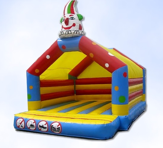 Newcastle Jumping Castle Hire Pic 1