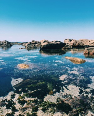 Royal National Park Pic 2