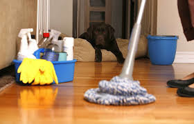 Kathy's Cleaning Service Pic 5