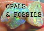 TRUE BLUE OPALS PTY LTD Pic 2