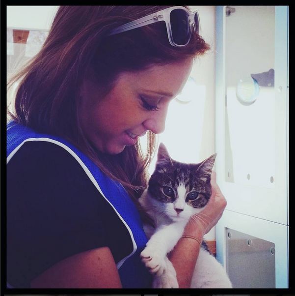 The KittyCare Way Pic 1 - Volunteering for AWL Cattery