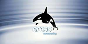 Paraph Pic 5 - Orcas logo design