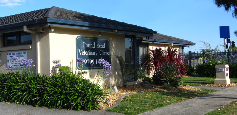 Pound Road Veterinary Clinic Pic 1