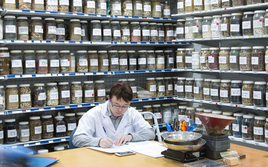 Sydney Institute Of Traditional Chinese Medicine Pic 1