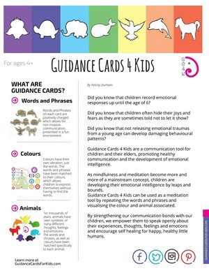 Guidance Cards Pic 3 - Information Brochure