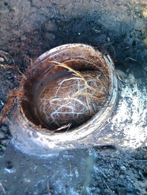 EPC Drain Cleaning Pic 3