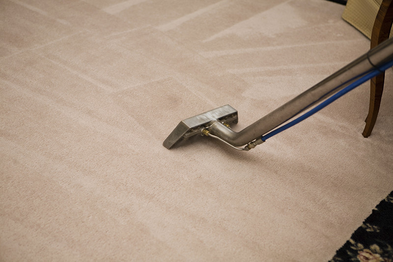 Sunstate Cleaning Services Pic 1 - Carpet Cleaning