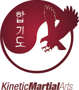 Kinetic Martial Arts Pic 1