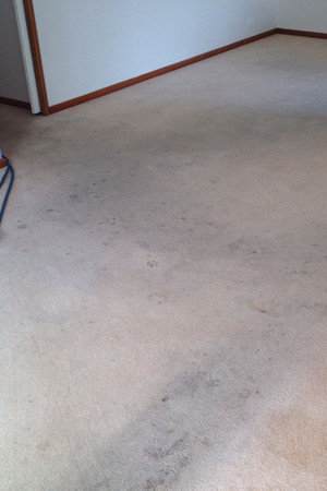 Stain Busters Carpet Cleaning Pic 2 - Very dirty carpet Before