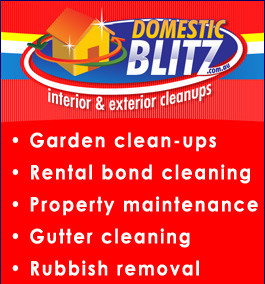 Domestic Blitz Pic 1