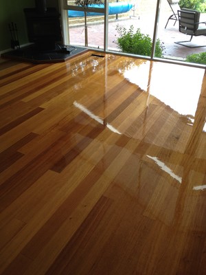 Rapid Flooring Pic 5 - Tasmanian Oak Super Gloss