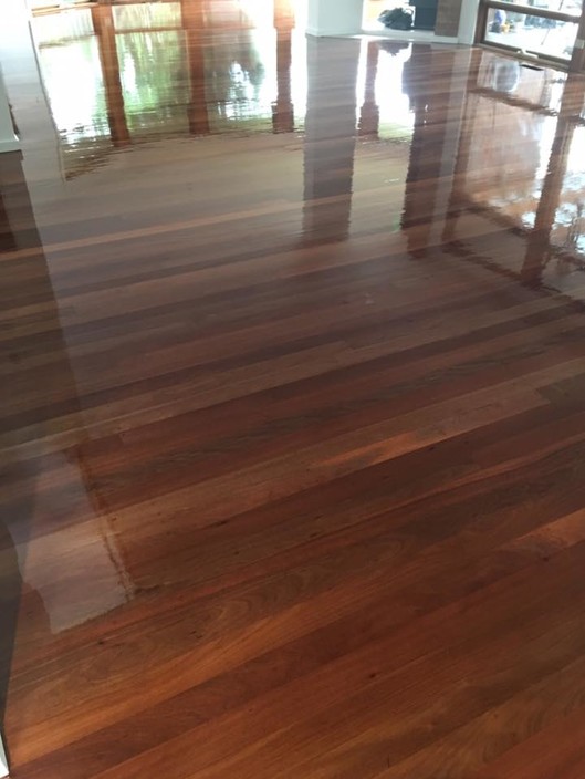 Rapid Flooring Pic 1 - Ironbark Super Gloss