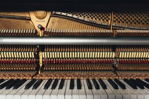 Piano Lessons - Francis Leung. Pic 2