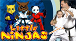 FOCUS MARTIAL ARTS Pic 3 - Focus Martial Arts Brisbane teaches kids karate taekwondo and self defense to kids from 3 years old