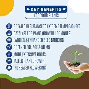 Natural Growth Institute Pic 5 - Boost your soil with Humus Powder Enhance plant growth and soil health for a thriving garden all year round