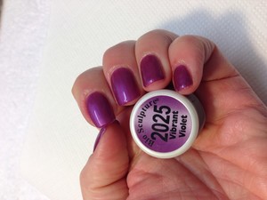 Silky Smooth Waxing and Nails Pic 3 - Bio sculpture Gel applied on healthy natural nails