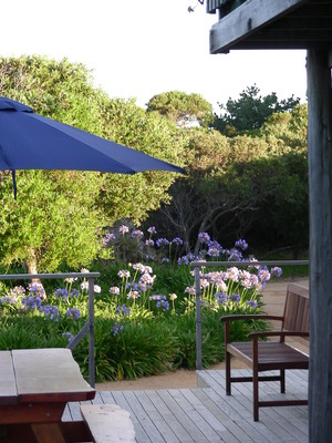 Aurora Beach Cottage Pic 5 - From the north facing deck