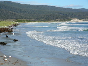 Aurora Beach Cottage Pic 3 - King tide in front of Aurora Beach Cottage