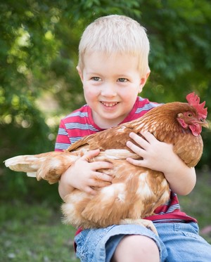 Bush Babies Childcare Pic 2 - We love our chickens