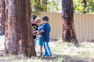 Bush Babies Childcare Pic 4 - Tree blood bugs stuff