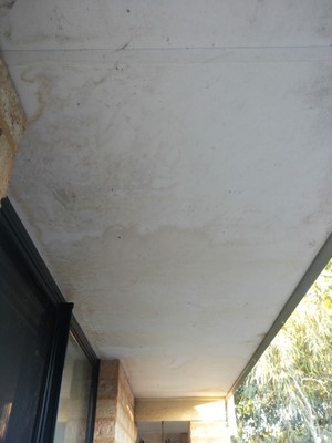 T. Harris Painting Pic 4 - Water stained eaves