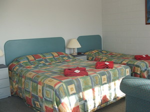 Albatross Motor Inn Pic 3 - Deluxe twin