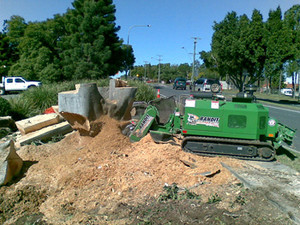 Stump Pro Stump Grinding Pic 2 - Our Bandit 2900T Remote Controlled Track Stump Grinder