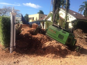 Stump Pro Stump Grinding Pic 3 - Bandit 2900T grinding a huge fig residential