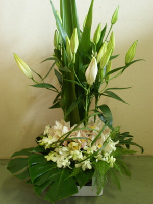 Bella Floral Boutique in Morisset, NSW, Florists - TrueLocal