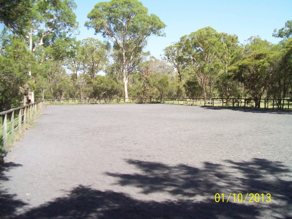 The Spinney Agistment Centre Pic 1 - the dressage arena