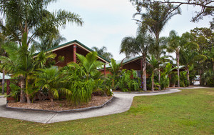 Blue Dolphin Resort & Holiday Park Pic 4 - Lovely cabins