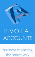 Streamed Business Pty Ltd Pic 1 - business services on the Gold Coast Pivotal Accounts Multiple companies budget or actual multiple bank accounts trade or cash