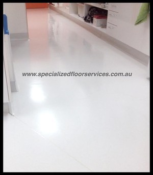 Specialized Floor Services Pic 5 - Vinyl Cleaning Melbourne