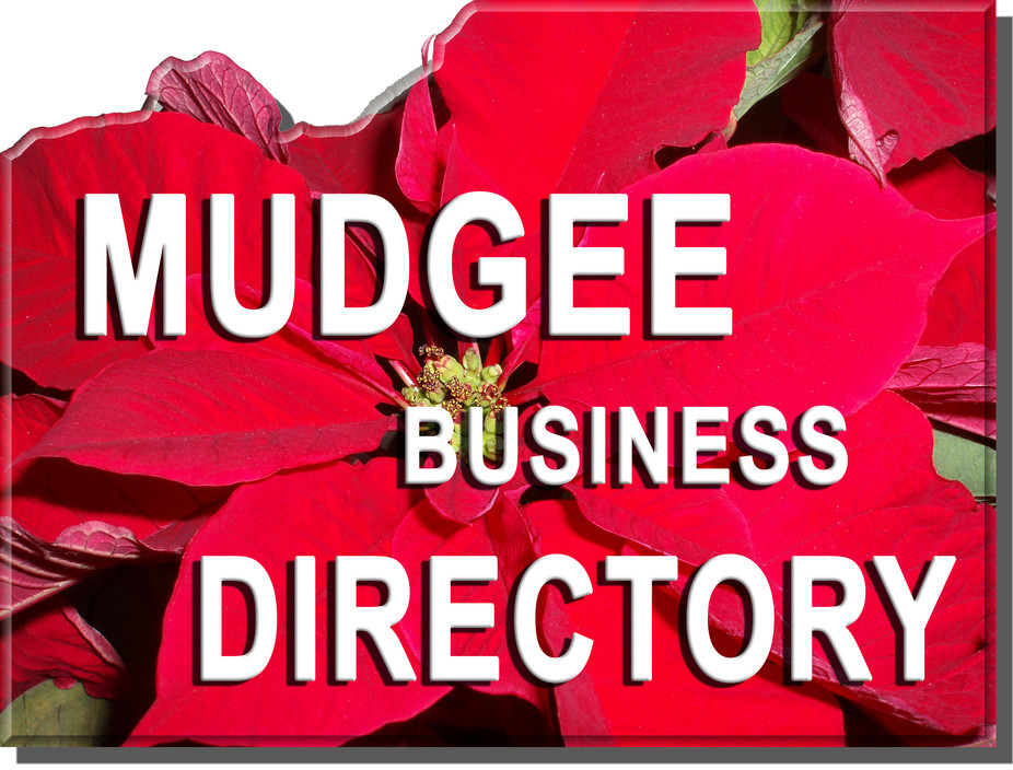 Mudgee Business & Shopping Guide Pic 1 - Mudgees largest ONLINE GUIDE