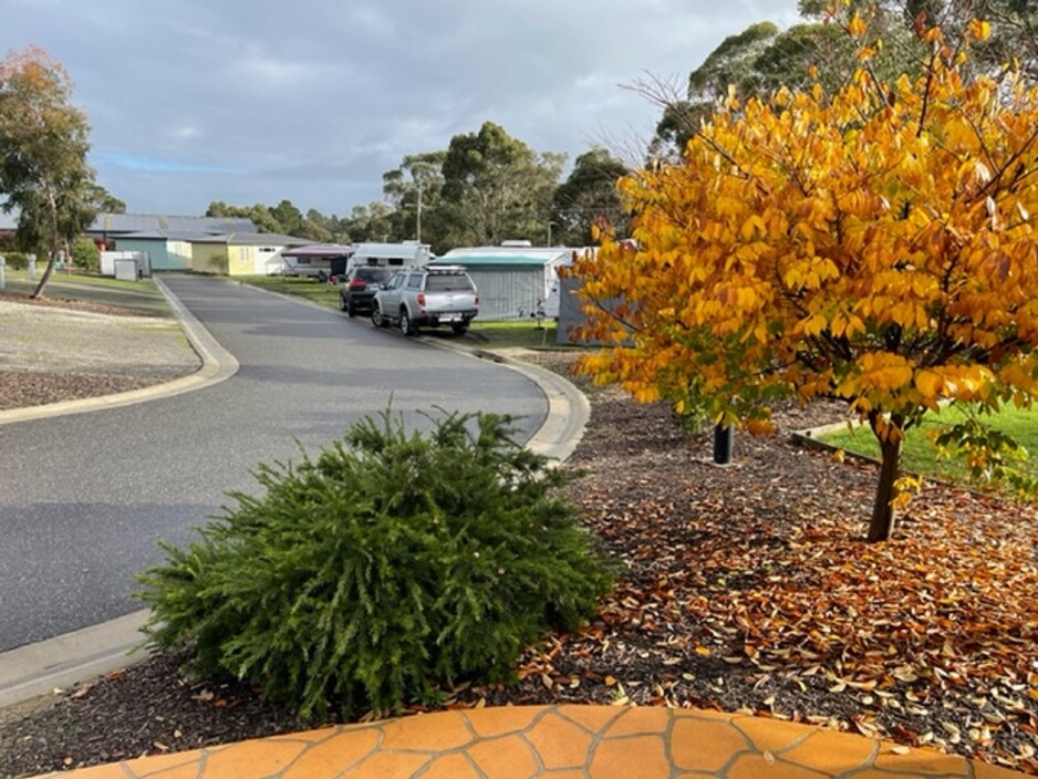 Lilydale Pine Hill Caravan Park Pic 1 - Autumn