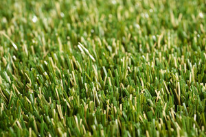 Tuff Turf Pic 5 - SIGNATURE TUFF Lawn Lovers