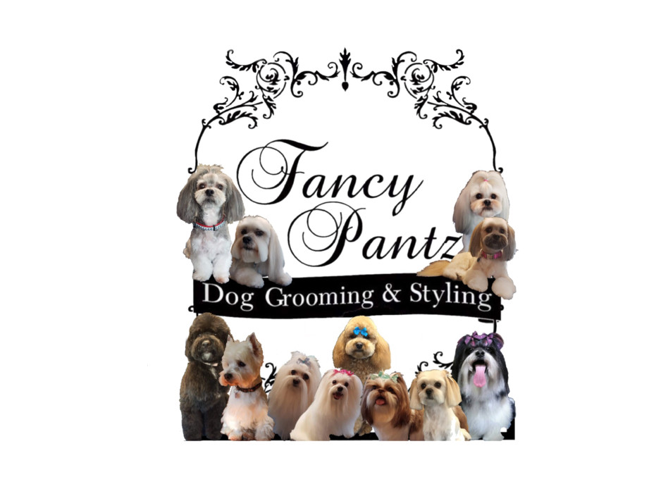 Fancy Pantz Dog Grooming & Styling Pic 1