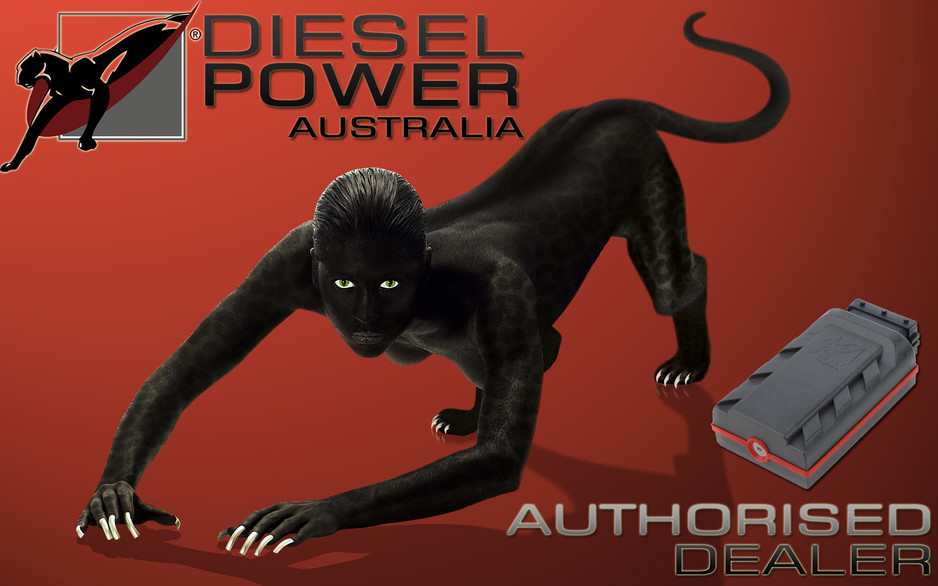 Diesel Power Modules Australia Pic 2