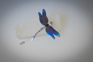 Rivertrack Studios Pic 2 - sterling silver dragonfly with titanium wings