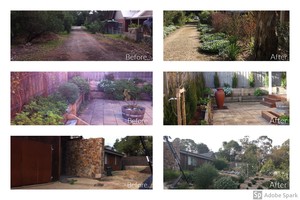 Simon The Plantman Pic 5 - Our landscape architects specialise in landscape plans and plant designs and boast years and years of experience in the horticulture field