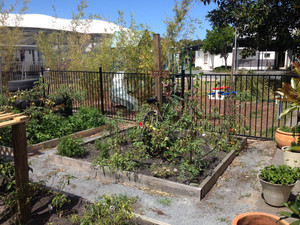 Osteria Pic 5 - Plants herb garden at Osteria Childrens playground behind