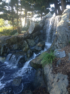 Botanic Gardens Pic 3 - Waterfall in Japanese Garden