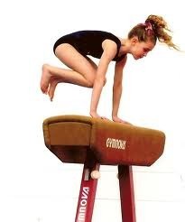 Yarra Valley Gymnastics Pic 3