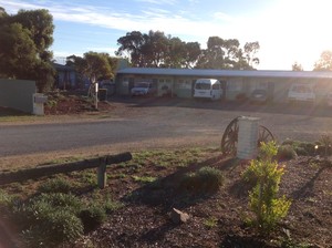 Murray Bridge Motor Inn Pic 2 - Morning glory