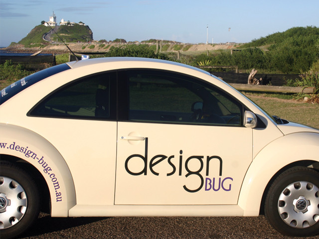 Design Bug Pic 2 - the design bug