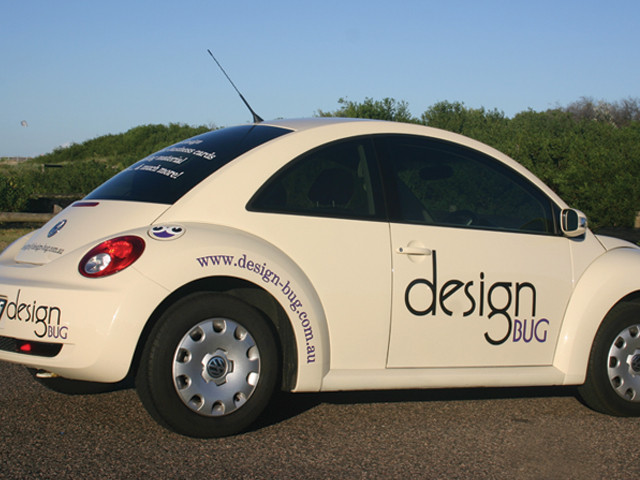 Design Bug Pic 1 - the design bug