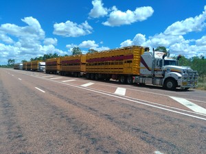 Lontrans Pty Ltd Pic 3